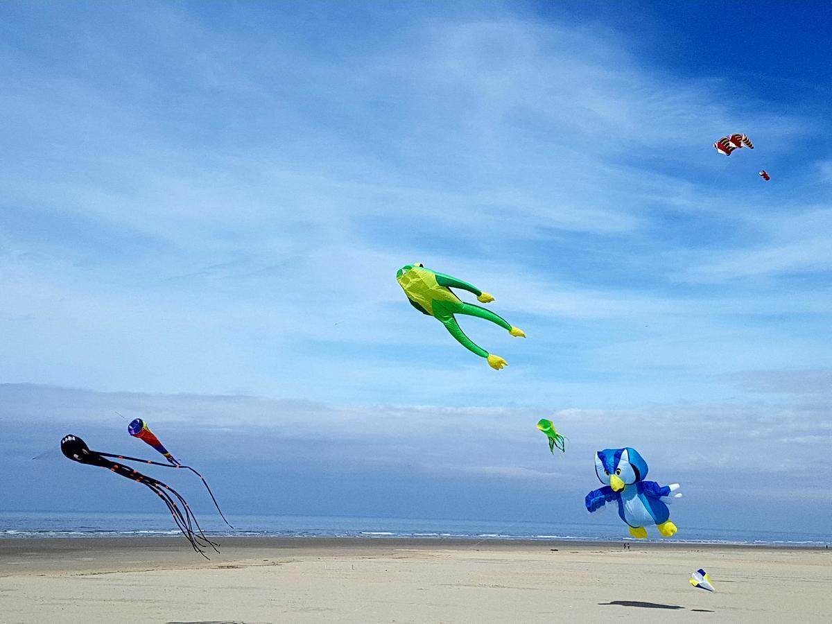 Les Coquillages, 2 Salles De Bains, Tout A Pied Berck Exterior foto