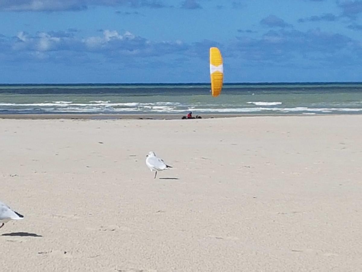 Les Coquillages, 2 Salles De Bains, Tout A Pied Berck Exterior foto